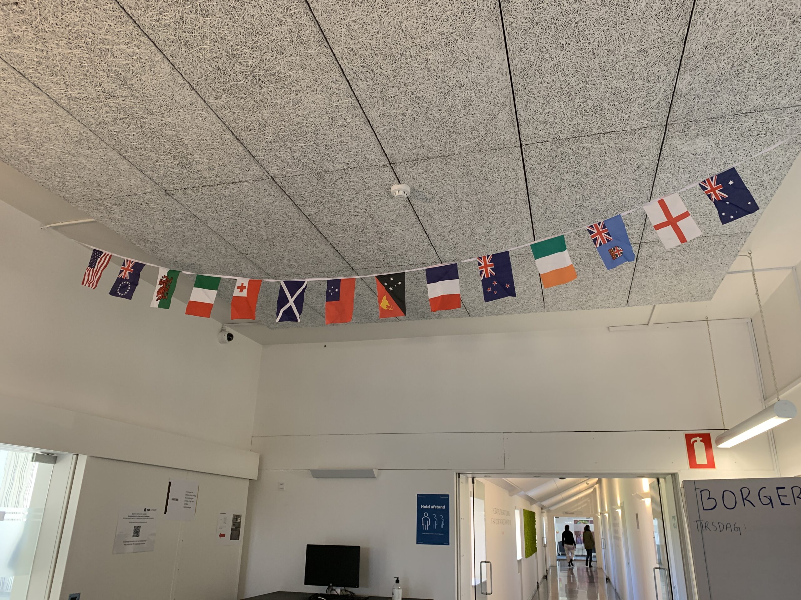 Flag fra hele verden var hængt op på skolen